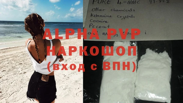 мдпв Богданович